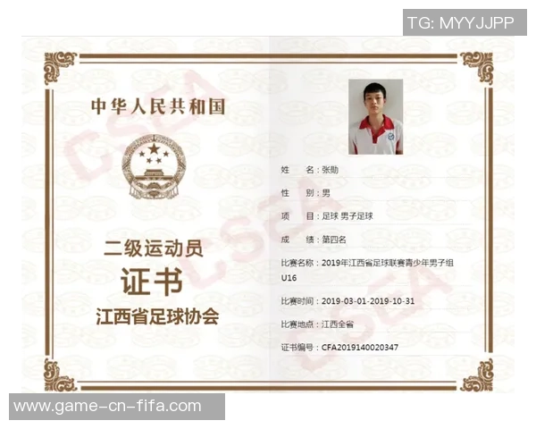 新星足球专业许可证助力青少年足球发展与职业化进程